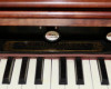 organ_harmonium_hammond_vzob5.jpg