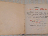 starozitna_kniha_libezne_adjelske_hlasi_1911_n0wm7.jpg